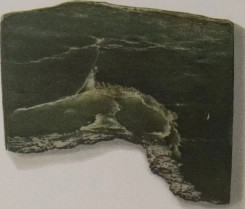 An illustration from The Bishop collection : investigations and studies in jade : [volume one], 1906, leaf 332