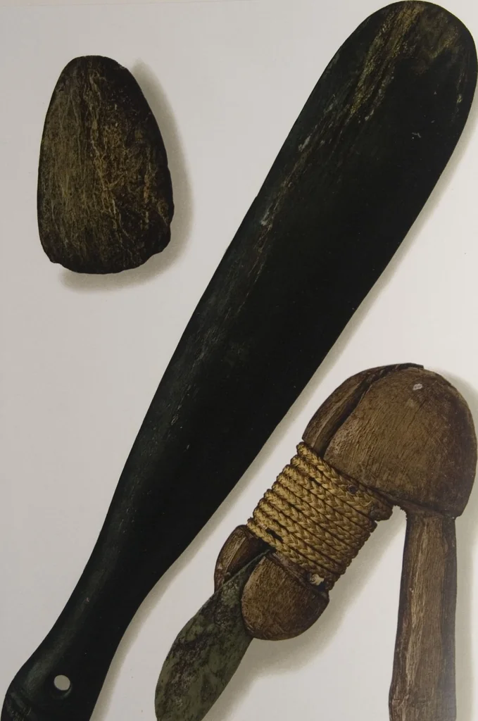 An illustration from The Bishop collection : investigations and studies in jade : [volume one], 1906, leaf 357