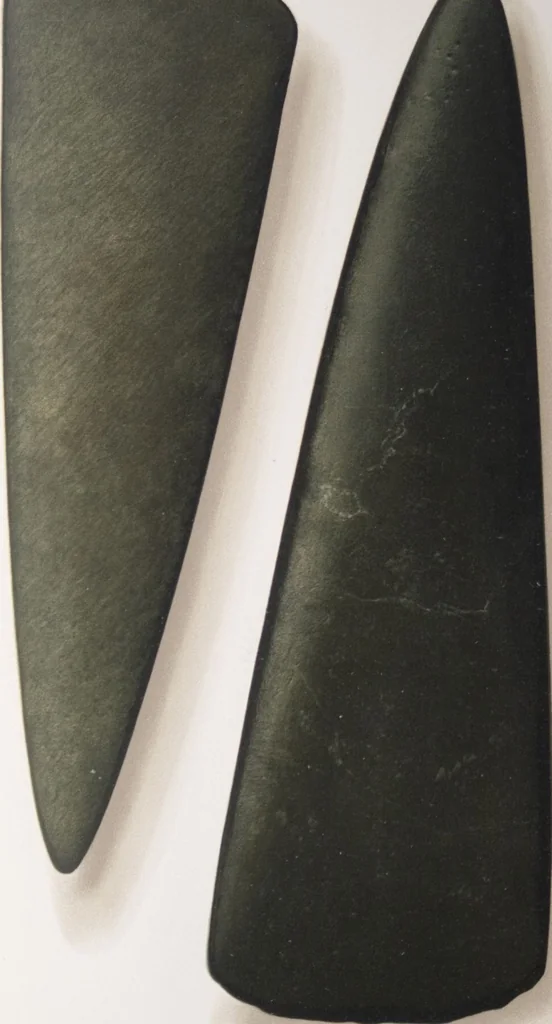 An illustration from The Bishop collection : investigations and studies in jade : [volume one], 1906, leaf 408