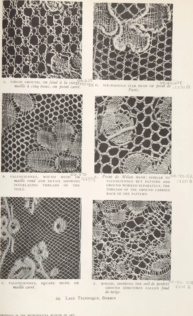 An illustration from Antique laces of American collectors : Volume 2 / text by Frances Morris & Marian Hague, 1920, leaf 145