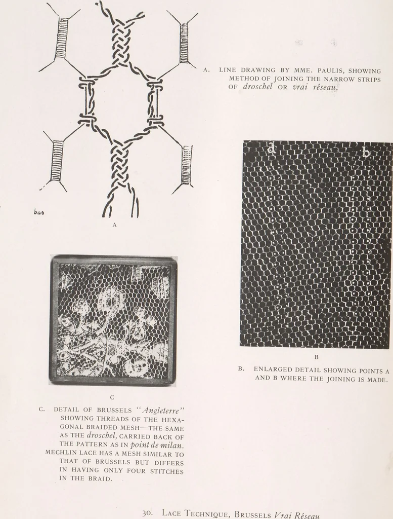An illustration from Antique laces of American collectors : Volume 2 / text by Frances Morris & Marian Hague, 1920, leaf 164