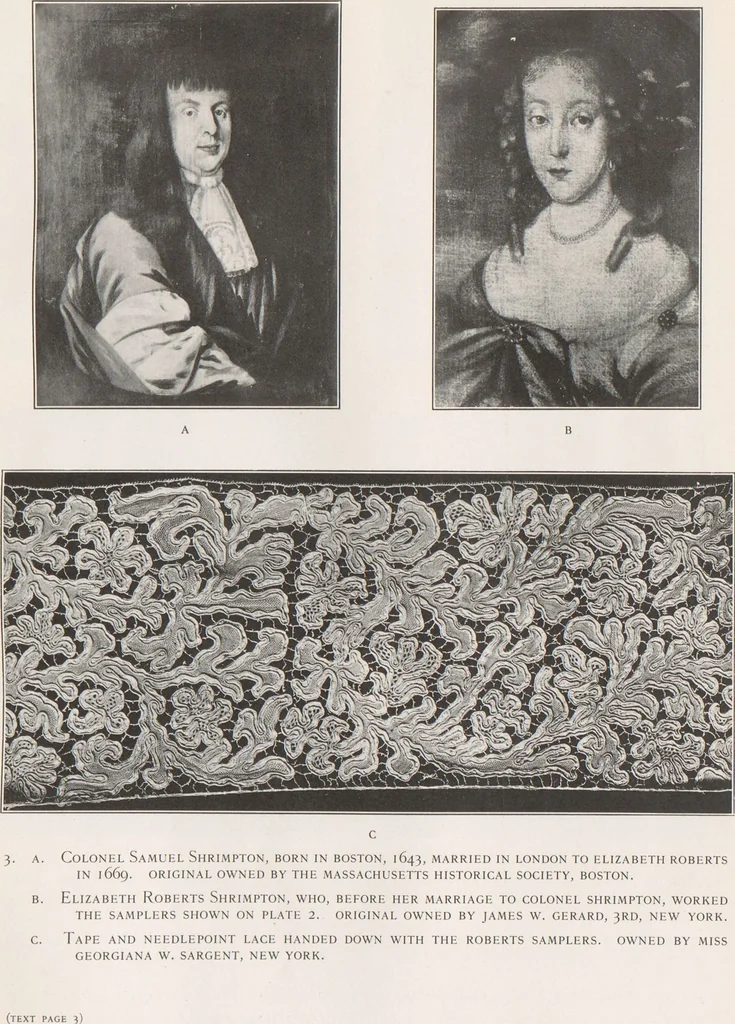 An illustration from Antique laces of American collectors : Volume 2 / text by Frances Morris & Marian Hague, 1920, leaf 24