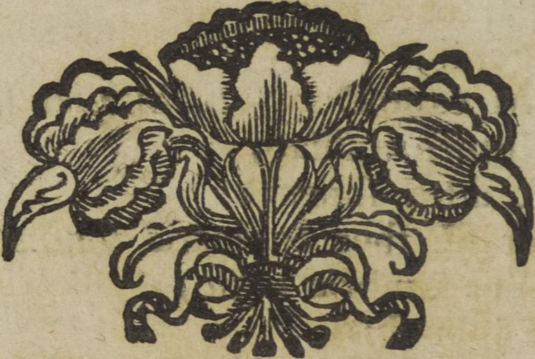An illustration from Descrizione del celebre Arco : eretto in Benevento a Marco Ulpio Trajano, XIV. imperadore, dal senato, e populo di Roma nell'anno del Signore 112. Col compendio delle antiche, e moderne memorie di detta città di Benevento, e delle gloriose geste del medesimo imperadore / opera di Giovanni di Nicastro ., 1723, leaf 26