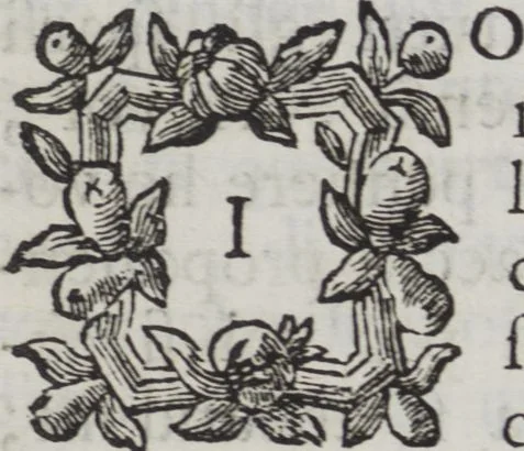 An illustration from Capitoli dell'Accademia della pittura aperta dalla magnifica città di Verona l'anno MDCCLXVI, 1766, leaf 21