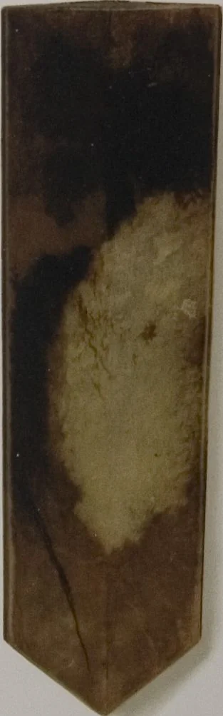 An illustration from The Bishop collection : investigations and studies in jade : [volume two], 1906, leaf 141