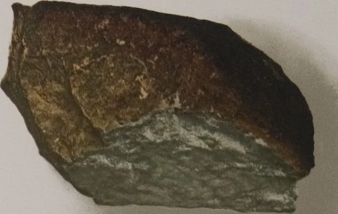An illustration from The Bishop collection : investigations and studies in jade : [volume two], 1906, leaf 17