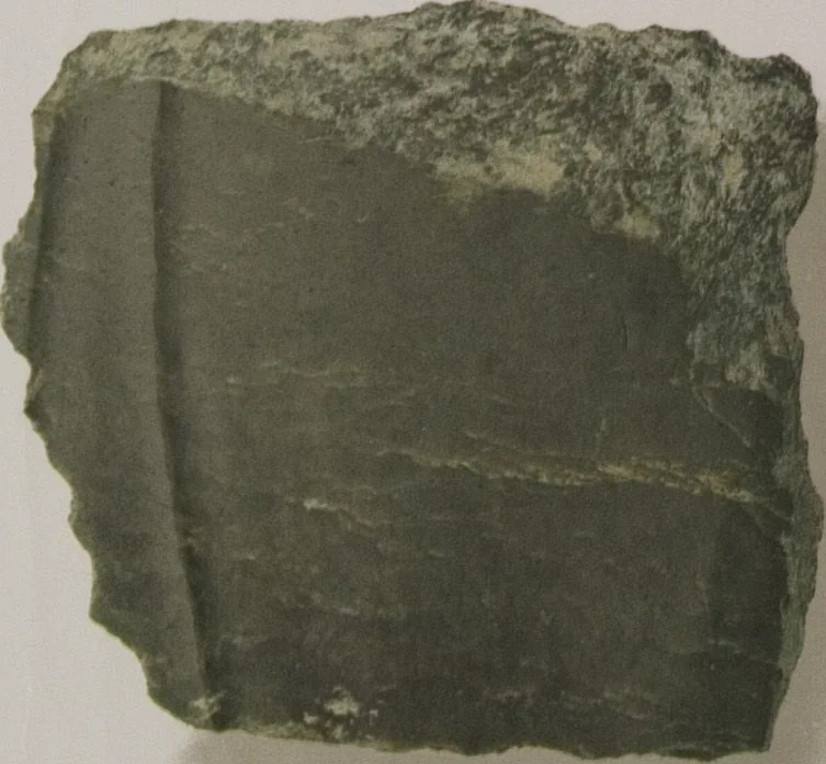 An illustration from The Bishop collection : investigations and studies in jade : [volume two], 1906, leaf 17