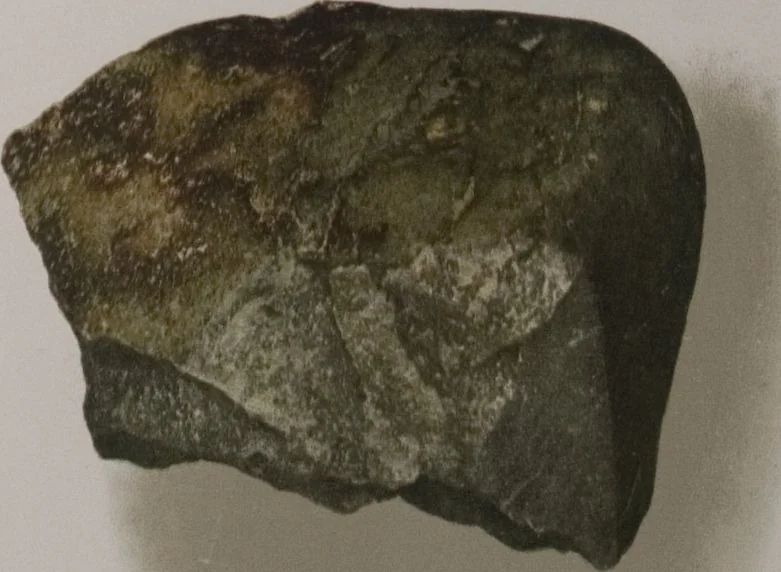 An illustration from The Bishop collection : investigations and studies in jade : [volume two], 1906, leaf 17