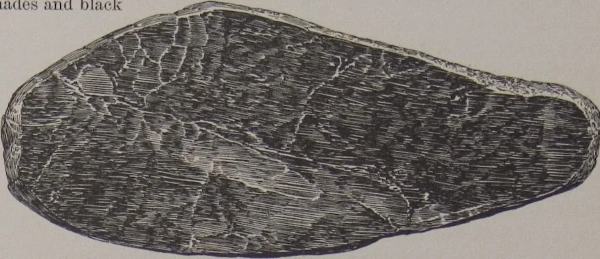 An illustration from The Bishop collection : investigations and studies in jade : [volume two], 1906, leaf 54