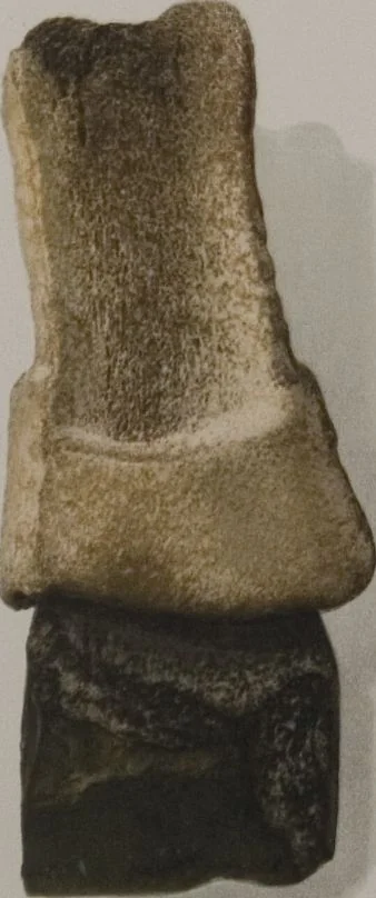 An illustration from The Bishop collection : investigations and studies in jade : [volume two], 1906, leaf 95