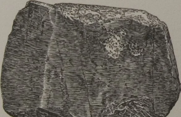 An illustration from The Bishop collection : investigations and studies in jade : [volume two], 1906, leaf 98
