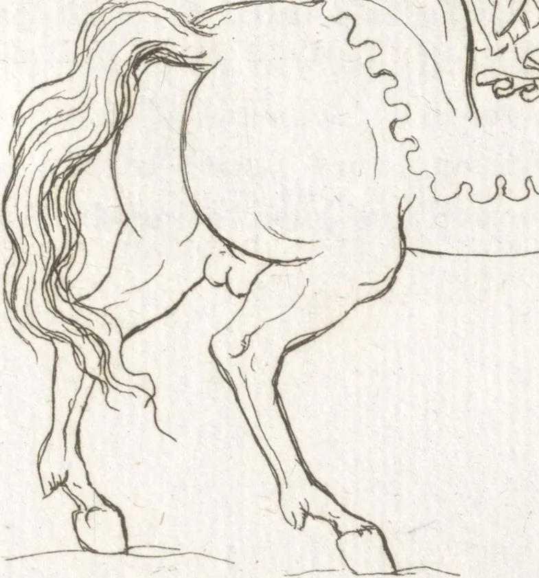 An illustration from Recherches sur les costumes, les moeurs, les usages religieux, civils et militaires des anciens peuples : [Volume 1] / par J. Mailliot, ... publié par P. Martin, 1809, leaf 289