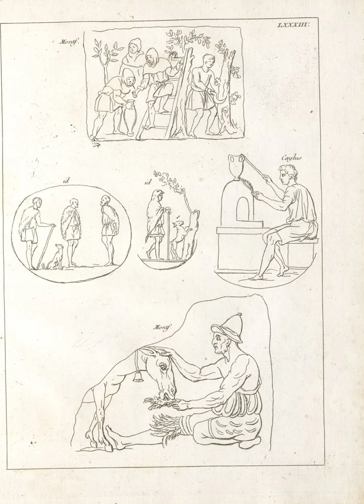 An illustration from Recherches sur les costumes, les moeurs, les usages religieux, civils et militaires des anciens peuples : [Volume 1] / par J. Mailliot, ... publié par P. Martin, 1809, leaf 453