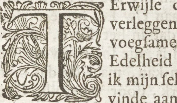 An illustration from Natuurlyk en schilderkonstig ontwerp der menschkunde leerende niet alleen de kennis van de gestalte, proportie, schoonheyd, muskelen, bewegingen, actien, passien, en welstand der menschbeelden : tot de teykenkunde, schilderkunde, beeldhouwery, bootseer en giet-oeffening toepassen : maar ook hoe sich een mensch na deselve regelen ... / door W. Goeree, 1682, leaf 11
