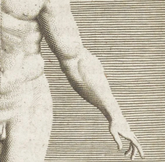 An illustration from Natuurlyk en schilderkonstig ontwerp der menschkunde leerende niet alleen de kennis van de gestalte, proportie, schoonheyd, muskelen, bewegingen, actien, passien, en welstand der menschbeelden : tot de teykenkunde, schilderkunde, beeldhouwery, bootseer en giet-oeffening toepassen : maar ook hoe sich een mensch na deselve regelen ... / door W. Goeree, 1682, leaf 282