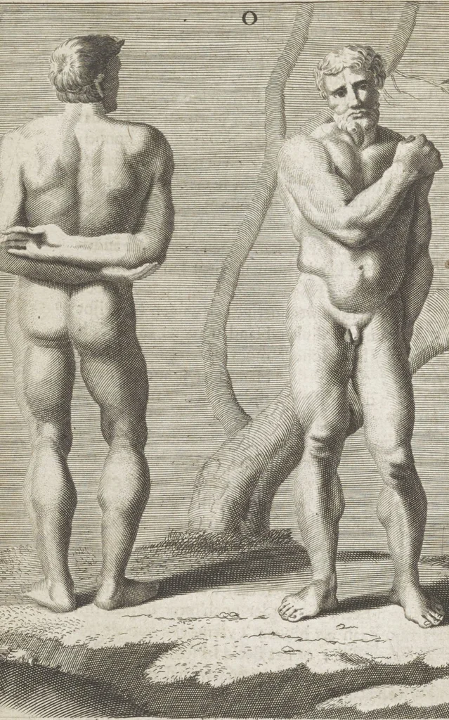 An illustration from Natuurlyk en schilderkonstig ontwerp der menschkunde leerende niet alleen de kennis van de gestalte, proportie, schoonheyd, muskelen, bewegingen, actien, passien, en welstand der menschbeelden : tot de teykenkunde, schilderkunde, beeldhouwery, bootseer en giet-oeffening toepassen : maar ook hoe sich een mensch na deselve regelen ... / door W. Goeree, 1682, leaf 336