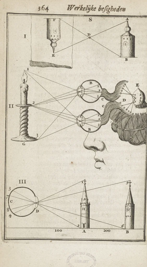 An illustration from Natuurlyk en schilderkonstig ontwerp der menschkunde leerende niet alleen de kennis van de gestalte, proportie, schoonheyd, muskelen, bewegingen, actien, passien, en welstand der menschbeelden : tot de teykenkunde, schilderkunde, beeldhouwery, bootseer en giet-oeffening toepassen : maar ook hoe sich een mensch na deselve regelen ... / door W. Goeree, 1682, leaf 408