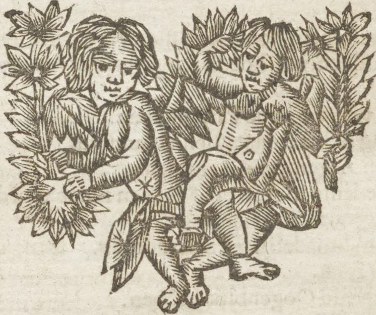 An illustration from Natuurlyk en schilderkonstig ontwerp der menschkunde leerende niet alleen de kennis van de gestalte, proportie, schoonheyd, muskelen, bewegingen, actien, passien, en welstand der menschbeelden : tot de teykenkunde, schilderkunde, beeldhouwery, bootseer en giet-oeffening toepassen : maar ook hoe sich een mensch na deselve regelen ... / door W. Goeree, 1682, leaf 483