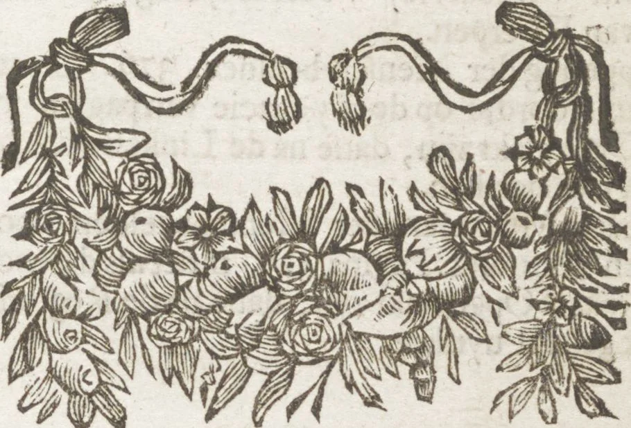 An illustration from Natuurlyk en schilderkonstig ontwerp der menschkunde leerende niet alleen de kennis van de gestalte, proportie, schoonheyd, muskelen, bewegingen, actien, passien, en welstand der menschbeelden : tot de teykenkunde, schilderkunde, beeldhouwery, bootseer en giet-oeffening toepassen : maar ook hoe sich een mensch na deselve regelen ... / door W. Goeree, 1682, leaf 505