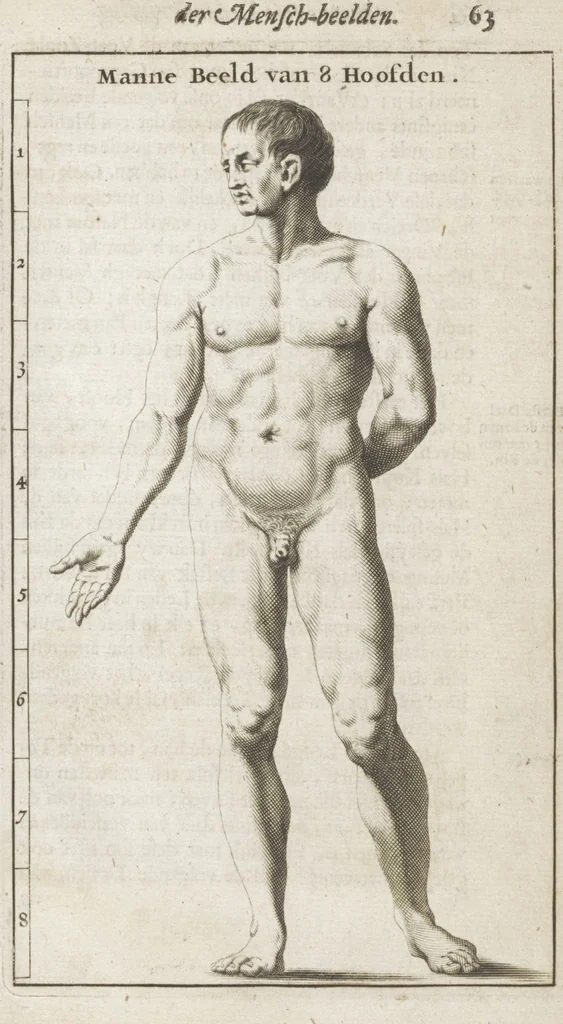 An illustration from Natuurlyk en schilderkonstig ontwerp der menschkunde leerende niet alleen de kennis van de gestalte, proportie, schoonheyd, muskelen, bewegingen, actien, passien, en welstand der menschbeelden : tot de teykenkunde, schilderkunde, beeldhouwery, bootseer en giet-oeffening toepassen : maar ook hoe sich een mensch na deselve regelen ... / door W. Goeree, 1682, leaf 87
