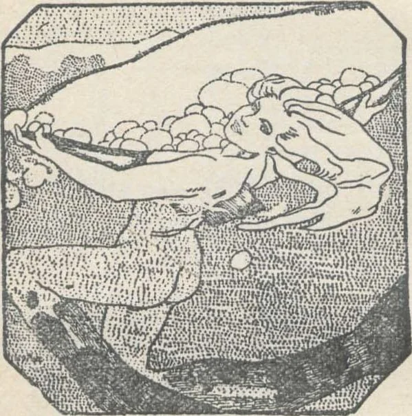 An illustration from Munich Ausstellung von Meisterwerken muhammedanischer Kunst 1910 : amtlicher Katalog, 1910, leaf 7