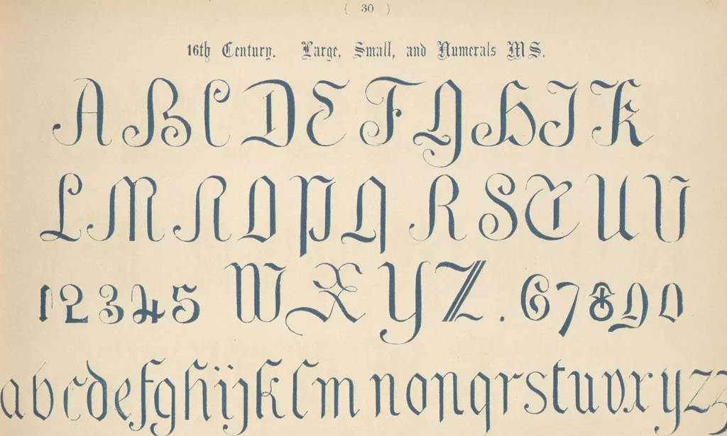 An illustration from The book of ornamental alphabets, ancient and modern, from the ninth to the nineteenth century, with numerals : including Gothic, church-text, large and small, German, Italian, arabesque, initials for illumination, rustic, large and small, ornamental : and with an analysis of the Roman and Old English alphabets (large and small) ... / collected and designed by F. Delamotte, 1858, leaf 35