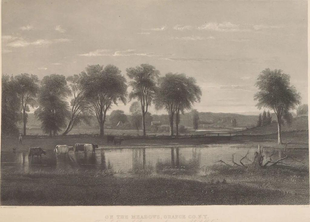 An illustration from Gallery of landscape painters : comprising twenty-four illustrations of American scenery, from paintings by G.L. Brown, W.H. Beard, Casilear, Colman, DeHaas, Gignoux, William Hart, James M. Hart, Hill, Hinshelwood, Hubbard, Inness, Kensett, Momberger, J.D. Smillie, Geo. H. Smillie, Whittredge ; Engraved on steel, by eminent engravers, with letter-press descriptions, 1872, leaf 49