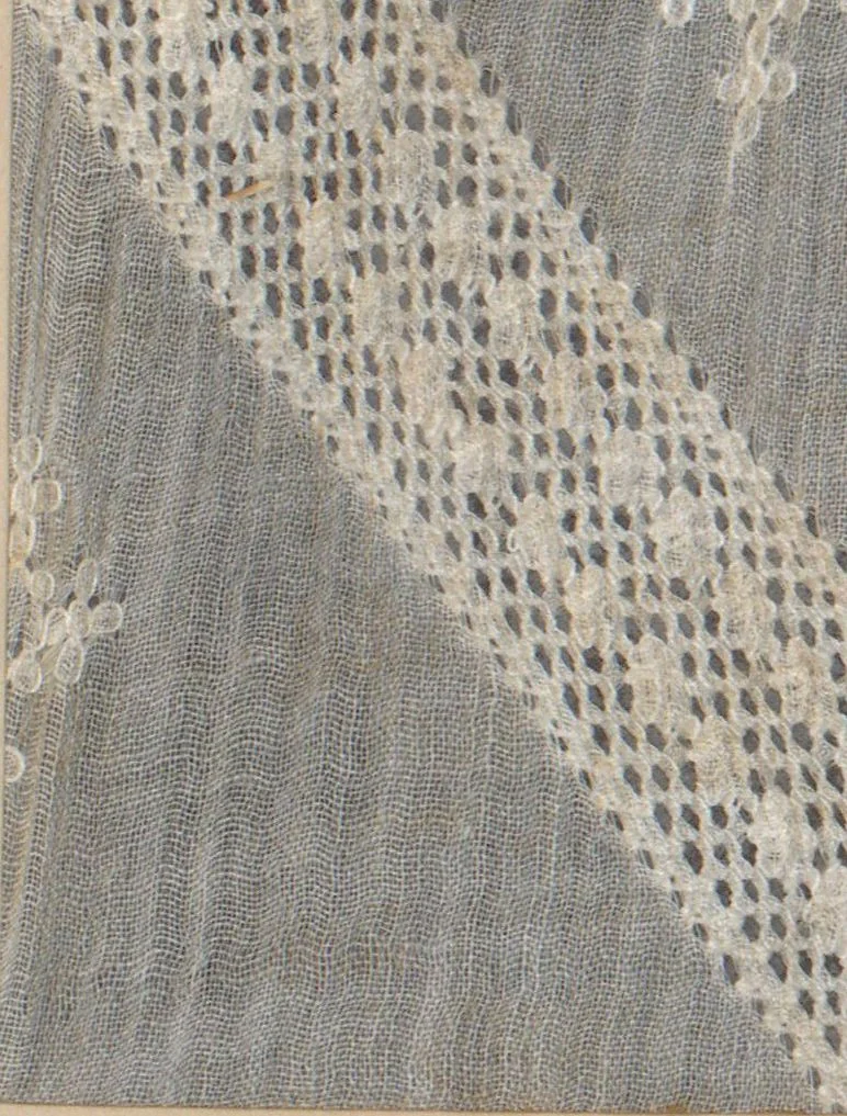 An illustration from Collection of specimens and illustrations of the textile manufactures of India. Second series, 0864-0920 / prepared under the direction of J. Forbes Watson, 1874, leaf 13