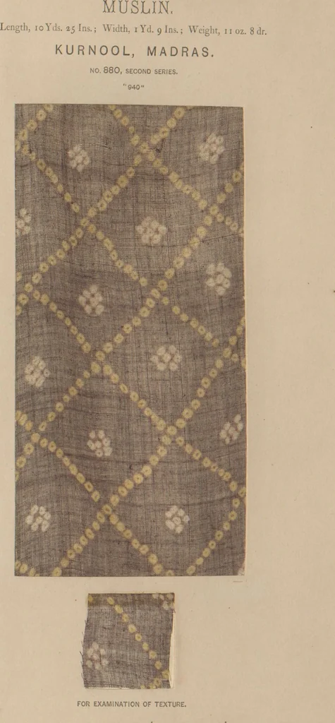 An illustration from Collection of specimens and illustrations of the textile manufactures of India. Second series, 0864-0920 / prepared under the direction of J. Forbes Watson, 1874, leaf 19