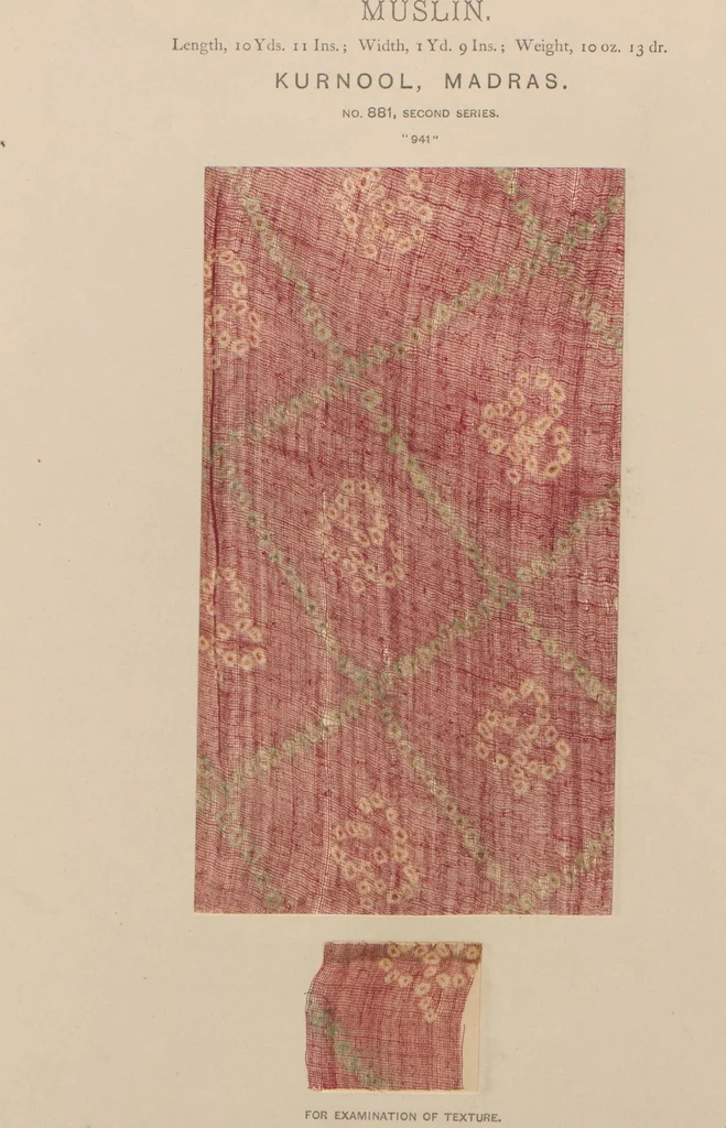 An illustration from Collection of specimens and illustrations of the textile manufactures of India. Second series, 0864-0920 / prepared under the direction of J. Forbes Watson, 1874, leaf 20