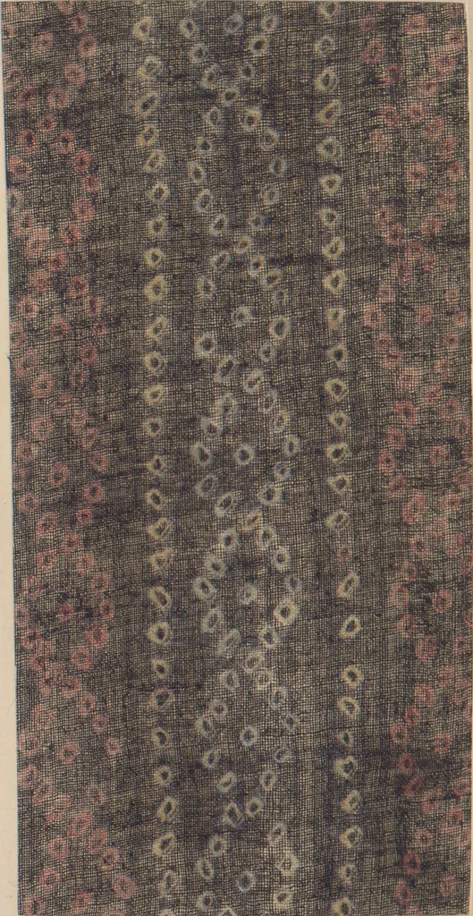 An illustration from Collection of specimens and illustrations of the textile manufactures of India. Second series, 0864-0920 / prepared under the direction of J. Forbes Watson, 1874, leaf 21