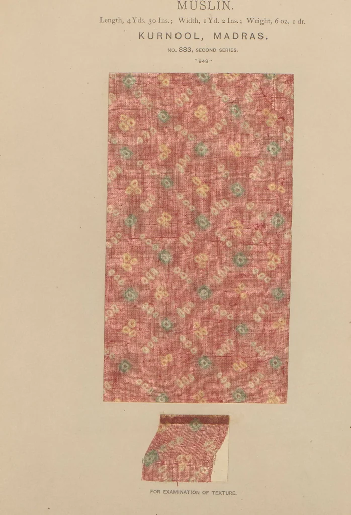 An illustration from Collection of specimens and illustrations of the textile manufactures of India. Second series, 0864-0920 / prepared under the direction of J. Forbes Watson, 1874, leaf 22