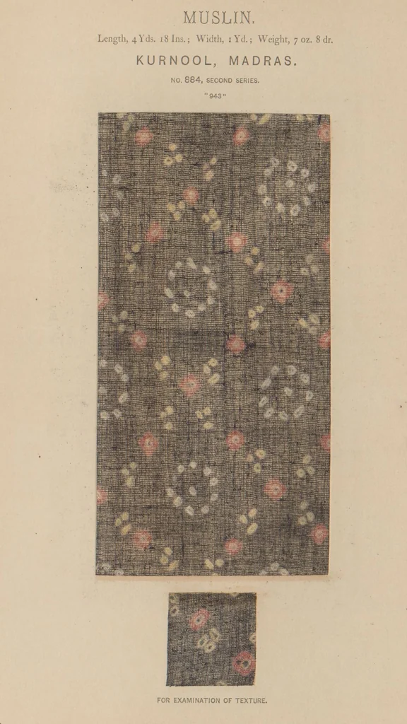 An illustration from Collection of specimens and illustrations of the textile manufactures of India. Second series, 0864-0920 / prepared under the direction of J. Forbes Watson, 1874, leaf 23