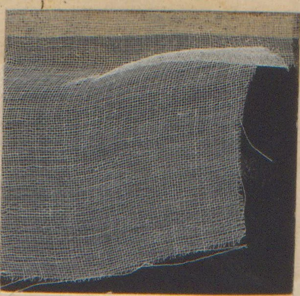 An illustration from Collection of specimens and illustrations of the textile manufactures of India. Second series, 0864-0920 / prepared under the direction of J. Forbes Watson, 1874, leaf 24