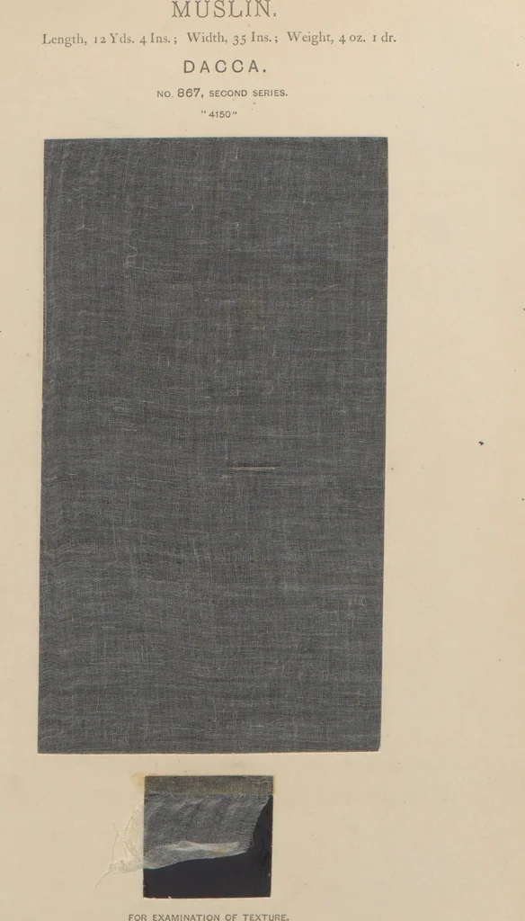 An illustration from Collection of specimens and illustrations of the textile manufactures of India. Second series, 0864-0920 / prepared under the direction of J. Forbes Watson, 1874, leaf 6