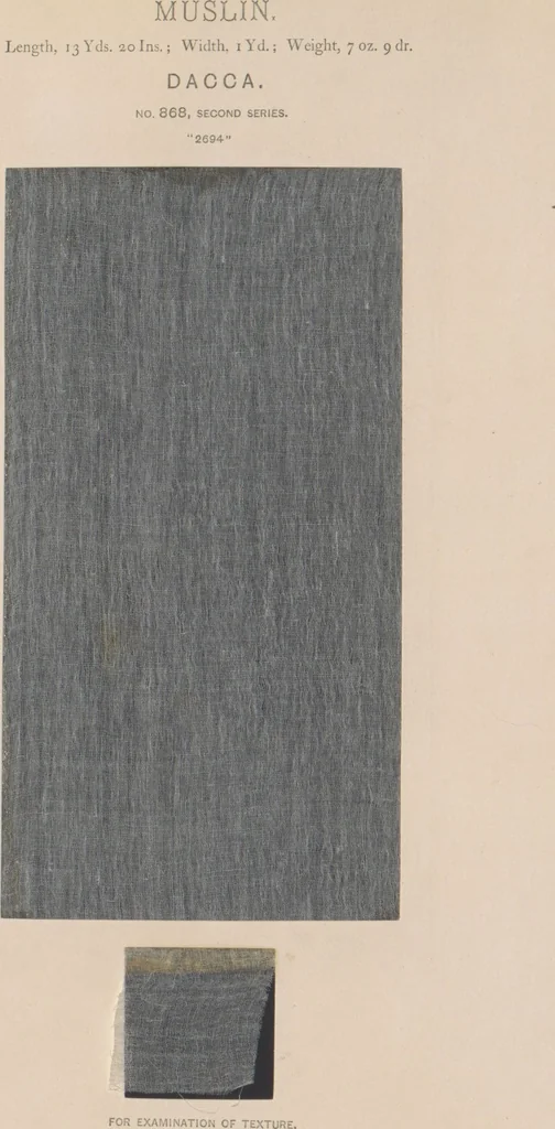 An illustration from Collection of specimens and illustrations of the textile manufactures of India. Second series, 0864-0920 / prepared under the direction of J. Forbes Watson, 1874, leaf 7