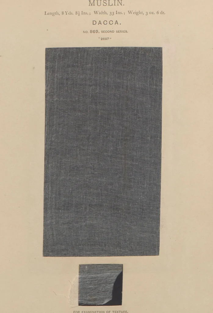 An illustration from Collection of specimens and illustrations of the textile manufactures of India. Second series, 0864-0920 / prepared under the direction of J. Forbes Watson, 1874, leaf 8
