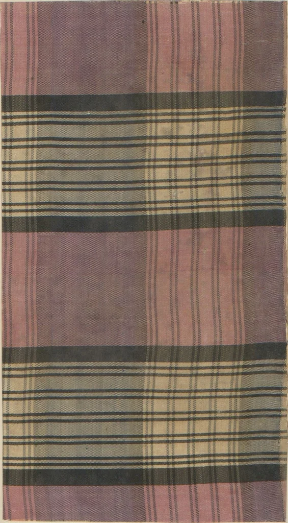 An illustration from Collection of specimens and illustrations of the textile manufactures of India. Second series, 0526-0574 / prepared under the direction of J. Forbes Watson, 1873, leaf 13