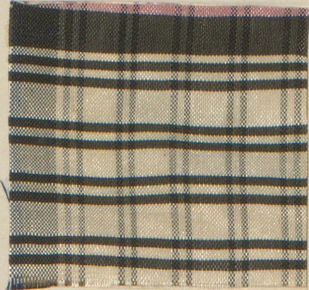 An illustration from Collection of specimens and illustrations of the textile manufactures of India. Second series, 0526-0574 / prepared under the direction of J. Forbes Watson, 1873, leaf 13