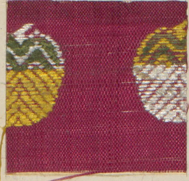 An illustration from Collection of specimens and illustrations of the textile manufactures of India. Second series, 0526-0574 / prepared under the direction of J. Forbes Watson, 1873, leaf 17