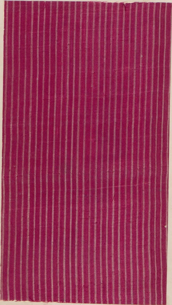 An illustration from Collection of specimens and illustrations of the textile manufactures of India. Second series, 0526-0574 / prepared under the direction of J. Forbes Watson, 1873, leaf 22
