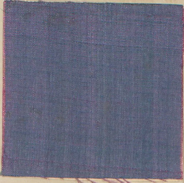 An illustration from Collection of specimens and illustrations of the textile manufactures of India. Second series, 0526-0574 / prepared under the direction of J. Forbes Watson, 1873, leaf 32