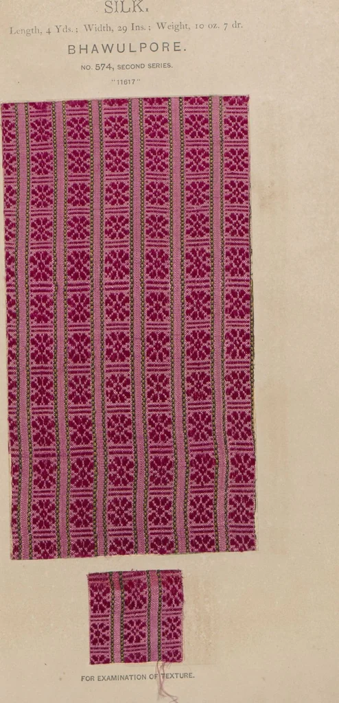 An illustration from Collection of specimens and illustrations of the textile manufactures of India. Second series, 0526-0574 / prepared under the direction of J. Forbes Watson, 1873, leaf 51