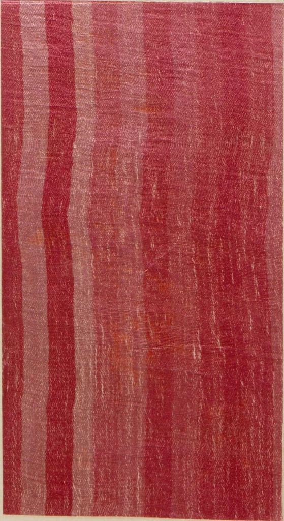 An illustration from Collection of specimens and illustrations of the textile manufactures of India. Second series, 0459-0525 / prepared under the direction of J. Forbes Watson, 1873, leaf 20