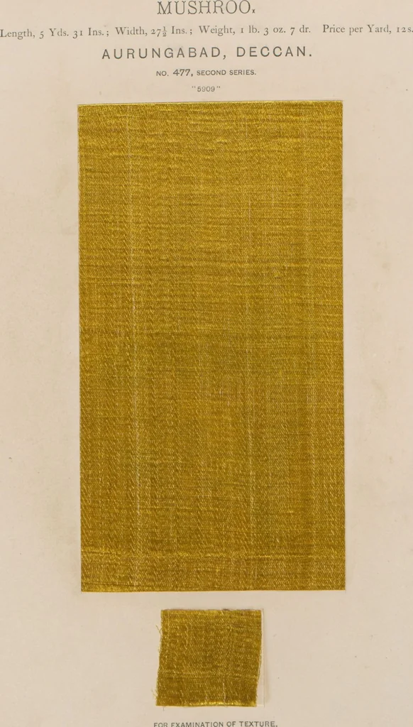 An illustration from Collection of specimens and illustrations of the textile manufactures of India. Second series, 0459-0525 / prepared under the direction of J. Forbes Watson, 1873, leaf 21