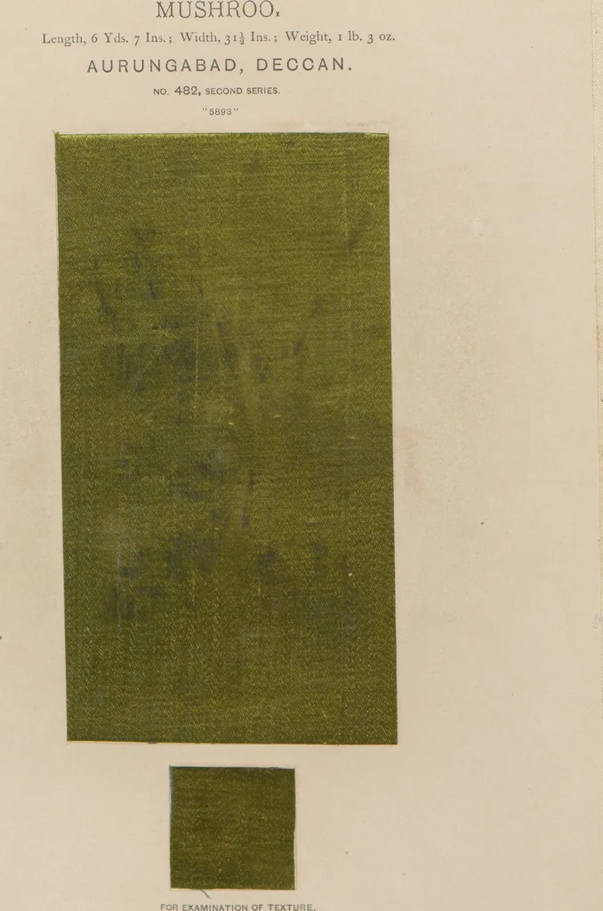 An illustration from Collection of specimens and illustrations of the textile manufactures of India. Second series, 0459-0525 / prepared under the direction of J. Forbes Watson, 1873, leaf 26