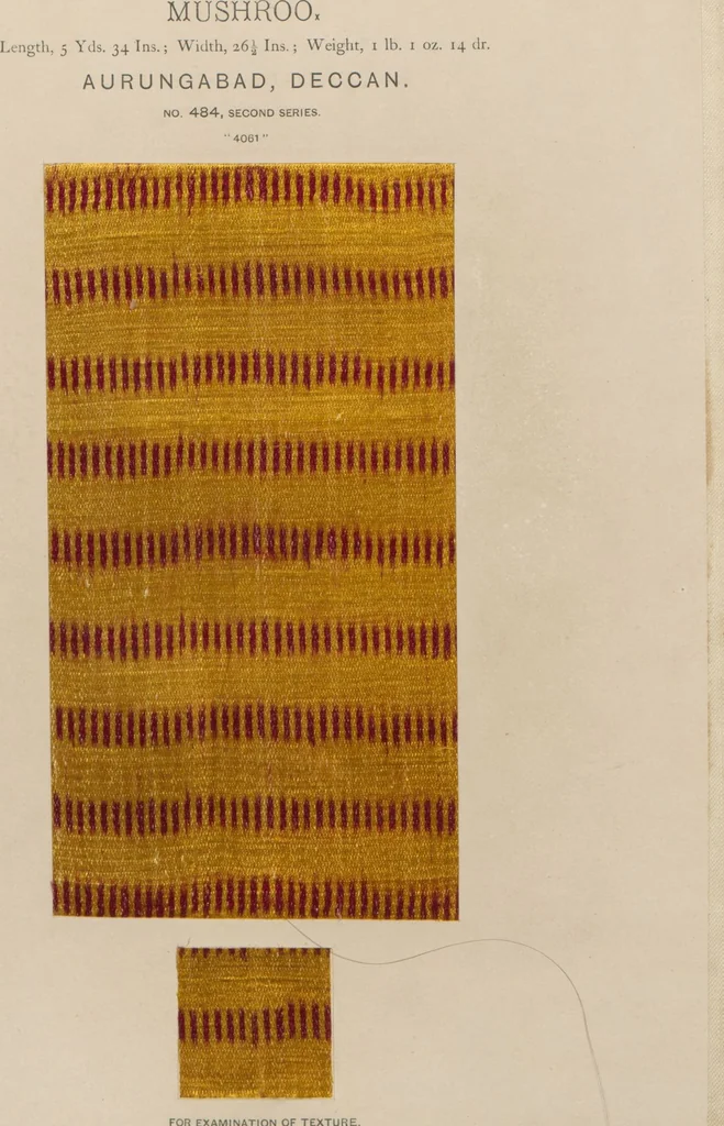 An illustration from Collection of specimens and illustrations of the textile manufactures of India. Second series, 0459-0525 / prepared under the direction of J. Forbes Watson, 1873, leaf 28