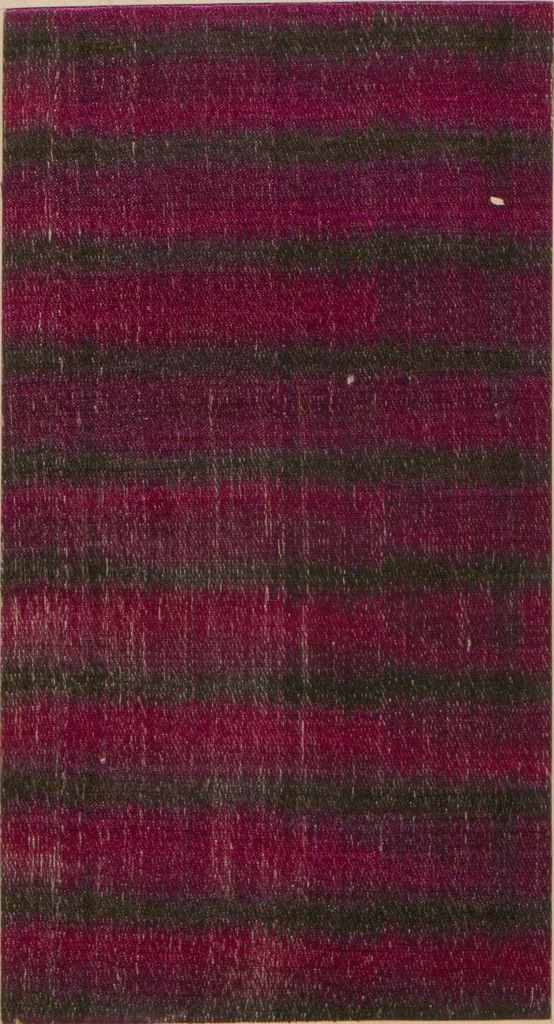 An illustration from Collection of specimens and illustrations of the textile manufactures of India. Second series, 0459-0525 / prepared under the direction of J. Forbes Watson, 1873, leaf 29