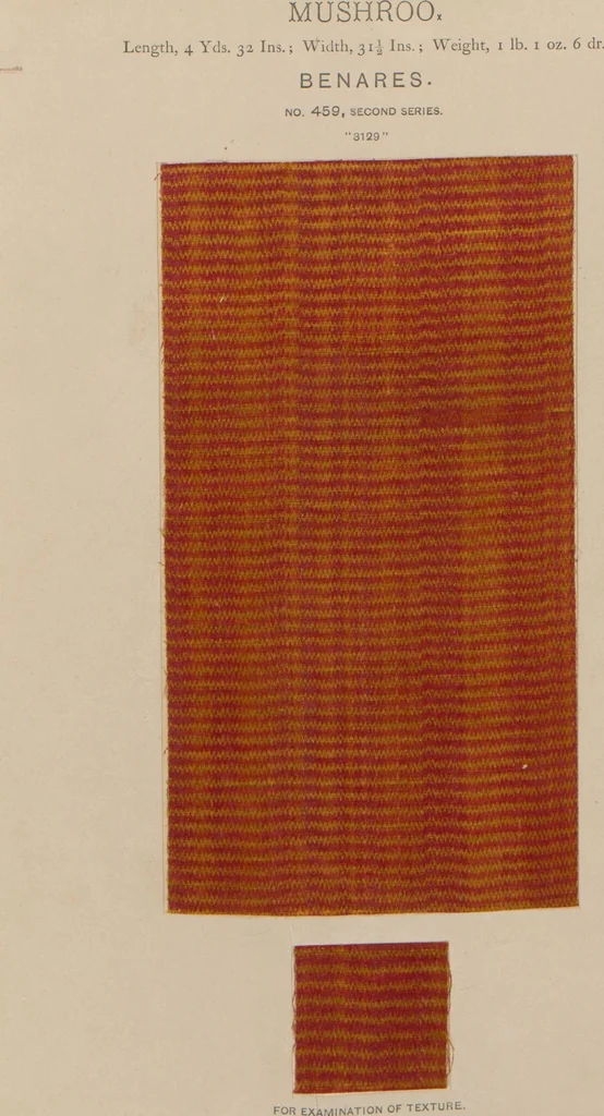 An illustration from Collection of specimens and illustrations of the textile manufactures of India. Second series, 0459-0525 / prepared under the direction of J. Forbes Watson, 1873, leaf 3
