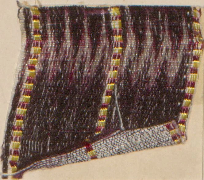 An illustration from Collection of specimens and illustrations of the textile manufactures of India. Second series, 0459-0525 / prepared under the direction of J. Forbes Watson, 1873, leaf 33